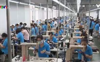 Thúc đẩy thương mại và đầu tư trong APEC