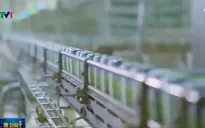 Doanh nghiệp kiến nghị vì bị truy thu cả chục tỷ đồng tiền thuế