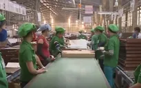 Đa dạng hóa thị trường xuất khẩu - Doanh nghiệp gỗ hạn chế rủi ro