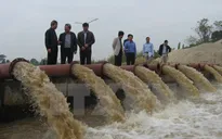 150.000 ha đã có nước vụ Đông Xuân