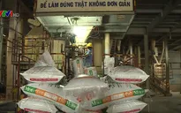 Đồng bằng sông Cửu Long nên phát triển công nghiệp theo hướng nào?