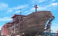 Bà Rịa - Vũng Tàu ngừng đóng tàu vỏ gỗ để hiện đại hóa đội tàu