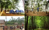 Nghỉ Tết Dương lịch 3 ngày nên đi đâu chơi gần Hà Nội?