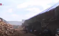 Ô nhiễm môi trường từ các lò đốt than tại Đăk Lăk