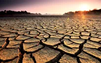 El Nino sắp quay trở lại
