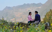 Ngoài Người phán xử và Sống chung với mẹ chồng, còn một bộ phim khác cũng rất đáng xem
