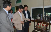 Nhiều hộ sản xuất rượu thủ công có nguy cơ đóng cửa do không đủ điều kiện