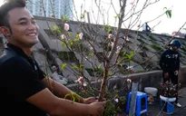 Tháng 2/2020, thời tiết ấm áp, nhiệt độ cao hơn so với trung bình nhiều năm