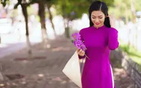 Hoa bằng lăng tím nở rợp trời Hà Nội