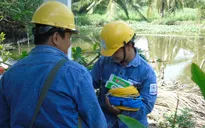 Điện lực TP.HCM sẽ sửa điện miễn phí cho 10.000 hộ dân