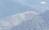 "Bay trên mùa vàng" Mù Cang Chải