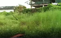 Muốn thu hồi dự án treo phải mất tới… 4 năm