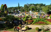 Nhiều người dân TP.HCM lên kế hoạch du xuân sớm