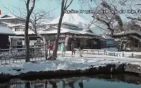 Tỉnh Yamanashi, Nhật Bản quảng bá du lịch tại Việt Nam