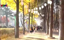 Gắn kết cộng đồng người Việt tại tỉnh Gyeongju - Hàn Quốc