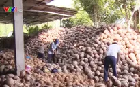 Khai mạc diễn đàn Mekong Connect 2017