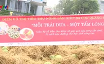 Hà Nội hỗ trợ tiêu thụ dưa hấu cho người dân Quảng Ngãi