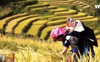 CLB Vietfotos Quảng bá hình ảnh Việt Nam tại Đức