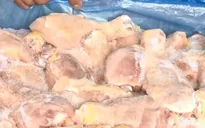 Đùi gà Mỹ nhập về Việt Nam giá chỉ 11.000 đồng/kg