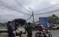Tấp nập mua bán vận chuyển dược liệu ở Cao Bằng
