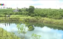 Nguy cơ đuối nước từ các ao, hồ tưới cà phê