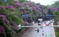 Cấm ô tô, thu hẹp đường Kim Mã còn 3m để làm Metro Hà Nội