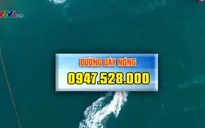 Khánh Hòa công bố đường dây nóng phục vụ lễ 2/9