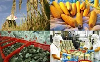 Đẩy mạnh xây dựng chuỗi giá trị để nông sản đi xa