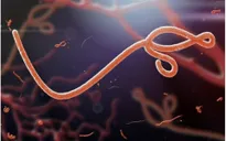 WHO tuyên bố chấm dứt dịch Ebola tại Congo
