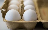 Hàn Quốc tiêu hủy toàn bộ trứng nhiễm hóa chất