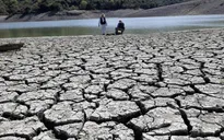 Hiện tượng El Nino có thể quay lại trong năm nay