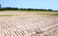 El Nino có thể quay lại trong năm nay