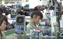 Cần thúc đẩy chuyển giao kỹ thuật giữa khu vực FDI và khu vực nội địa