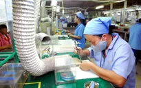 Tỷ lệ nội địa hóa thấp: Rủi ro cao, chi phí lớn cho doanh nghiệp FDI