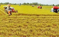 Mới chỉ có 1% doanh nghiệp đầu tư vào nông nghiệp