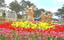 Festival hoa Đà Lạt sẽ diễn ra trong 5 ngày