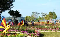 Hôm nay (27/12), bế mạc Festival hoa Đà Lạt