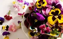 Ăn hoa - Xu hướng ẩm thực mới tại Hàn Quốc