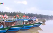 Một năm nỗ lực để khôi phục nghề biển sau sự cố Formosa