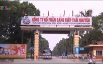 Rút 1.000 tỷ đồng vốn NN khỏi dự án Gang thép Thái Nguyên