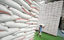 Thái Lan muốn bán hết gạo dự trữ trong nửa đầu năm nay
