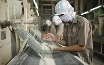 Các doanh nghiệp đang tồn kho gần 1 triệu tấn gạo