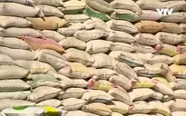 Philippines cần nhập khẩu 800.000 tấn gạo