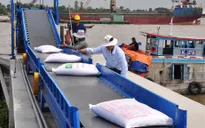 Xuất khẩu gạo sang Trung Quốc tăng mạnh