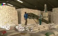 Gia hạn thỏa thuận xuất khẩu gạo sang Philippines