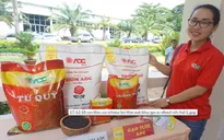 9 tháng đầu năm, kim ngạch xuất khẩu của Cần Thơ đạt trên 1,2 tỷ USD