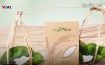 Thương hiệu gạo Việt đạt chứng nhận hữu cơ của Mỹ