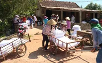 Thừa Thiên - Huế: Phân bổ 500 tấn gạo cho người dân vùng bão lũ