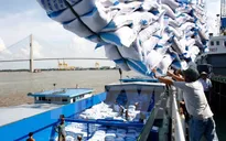 Bộ Công Thương: "Không chấp nhận chuyện mua bán chỉ tiêu xuất khẩu gạo"