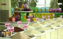 Xuất khẩu gạo năm 2017: Khởi sắc đầy bất ngờ
